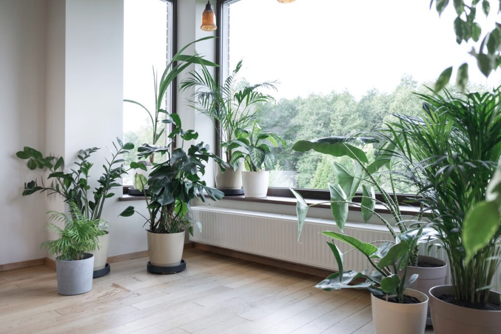 Home renovation