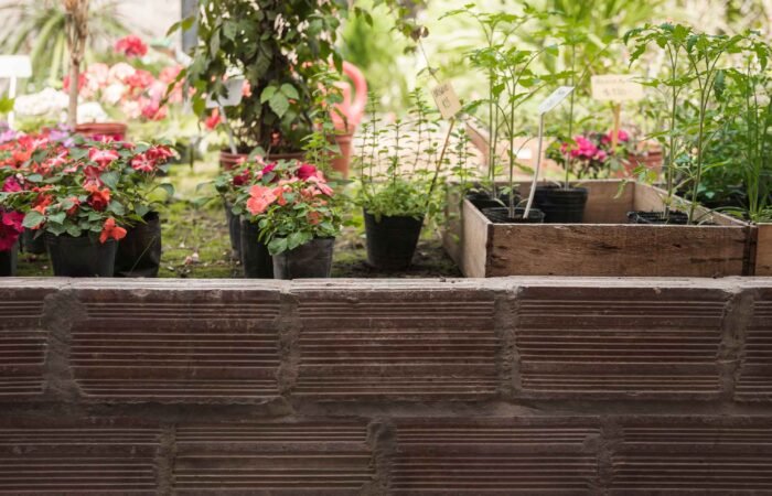 Terrace Garden