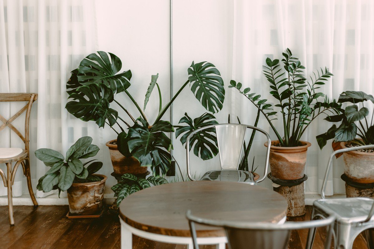 Biophilic interior design