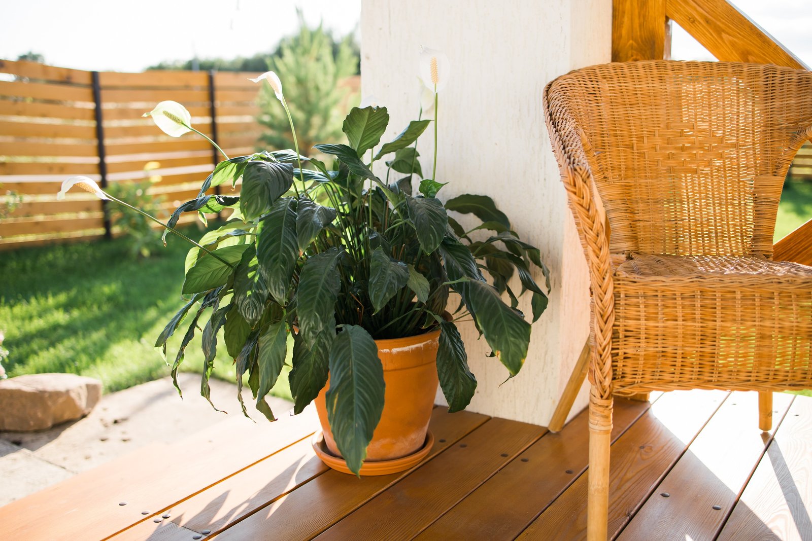 Veranda
